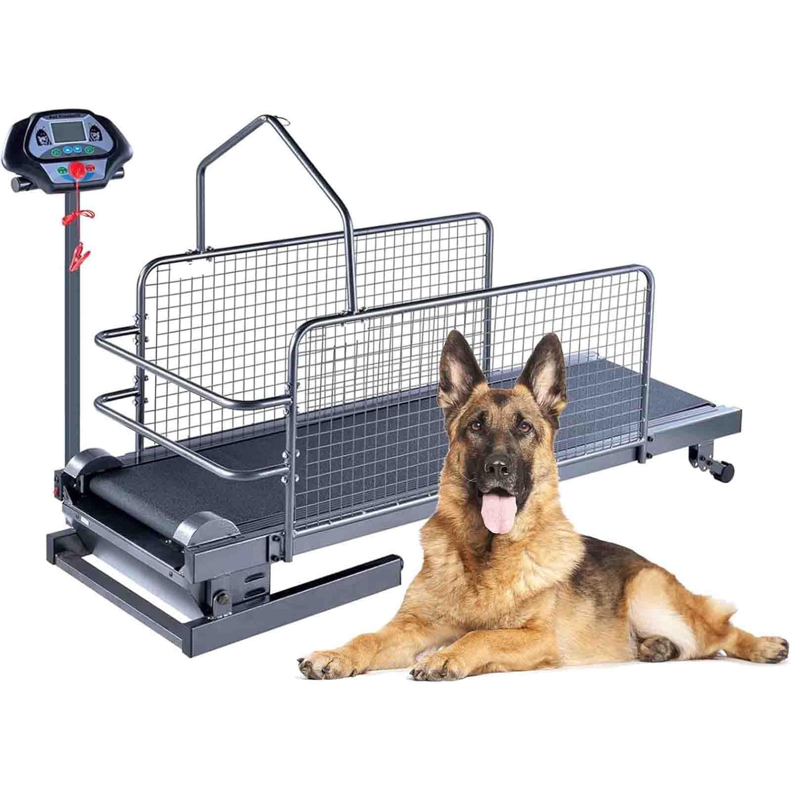 Amazon.co.jp: 中型・大型犬用ドッグトレッドミル、ペット用ランニング