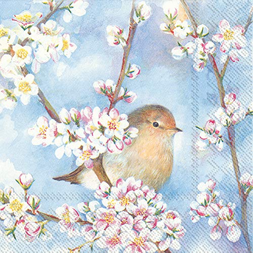 IHR Ideal Home Range Cocktail Napkins Disposable 3 Ply Paper Party Napkin Pack 5 x 5 Harmony 20 Count