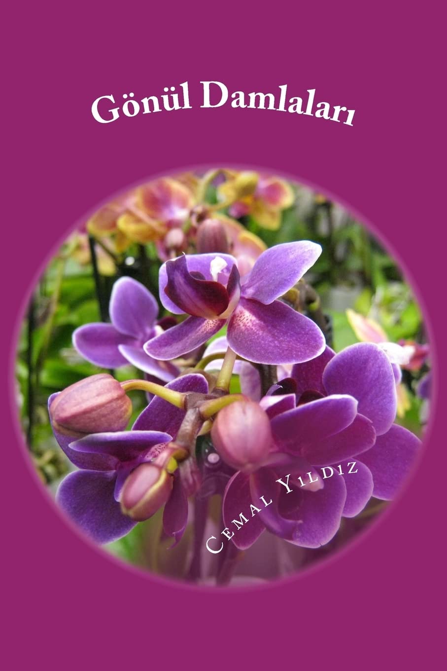 Gonul Damlalari II (Turkish Edition)