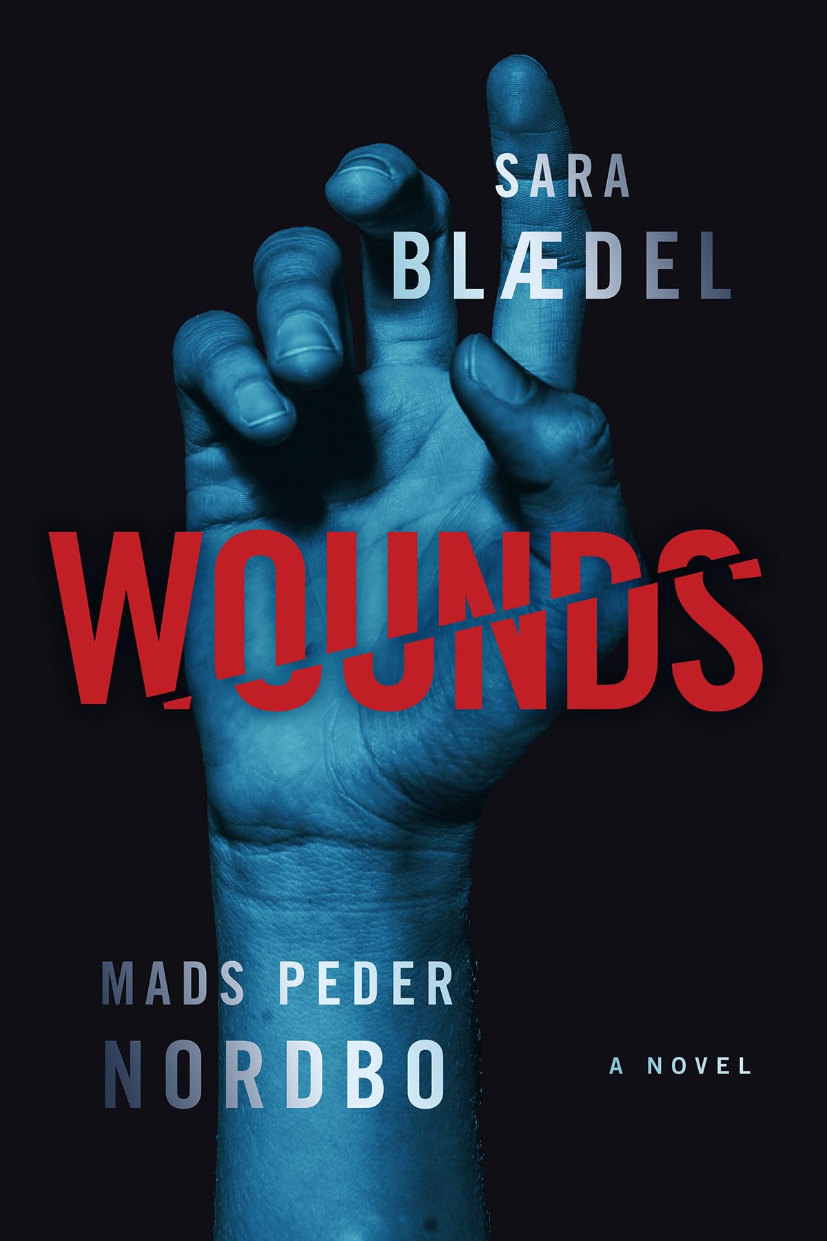 Wounds: A Novel
