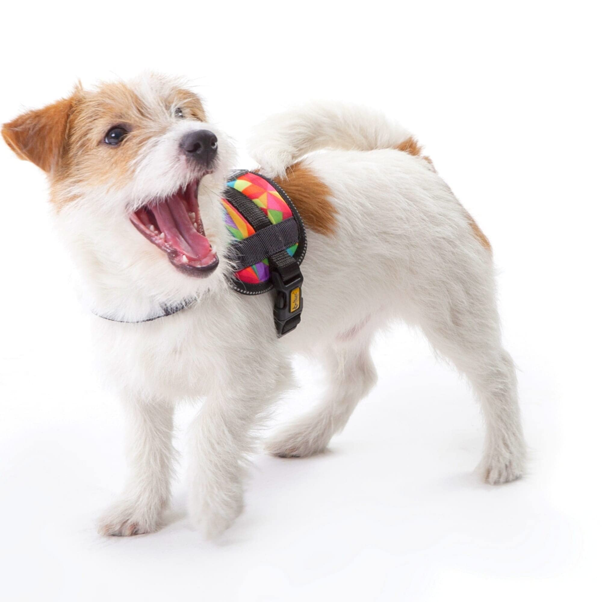 Dingo Patterned Harness for Dog Handmade in America Colorado Style 15810, Kolorado, Size 2 - Image 3
