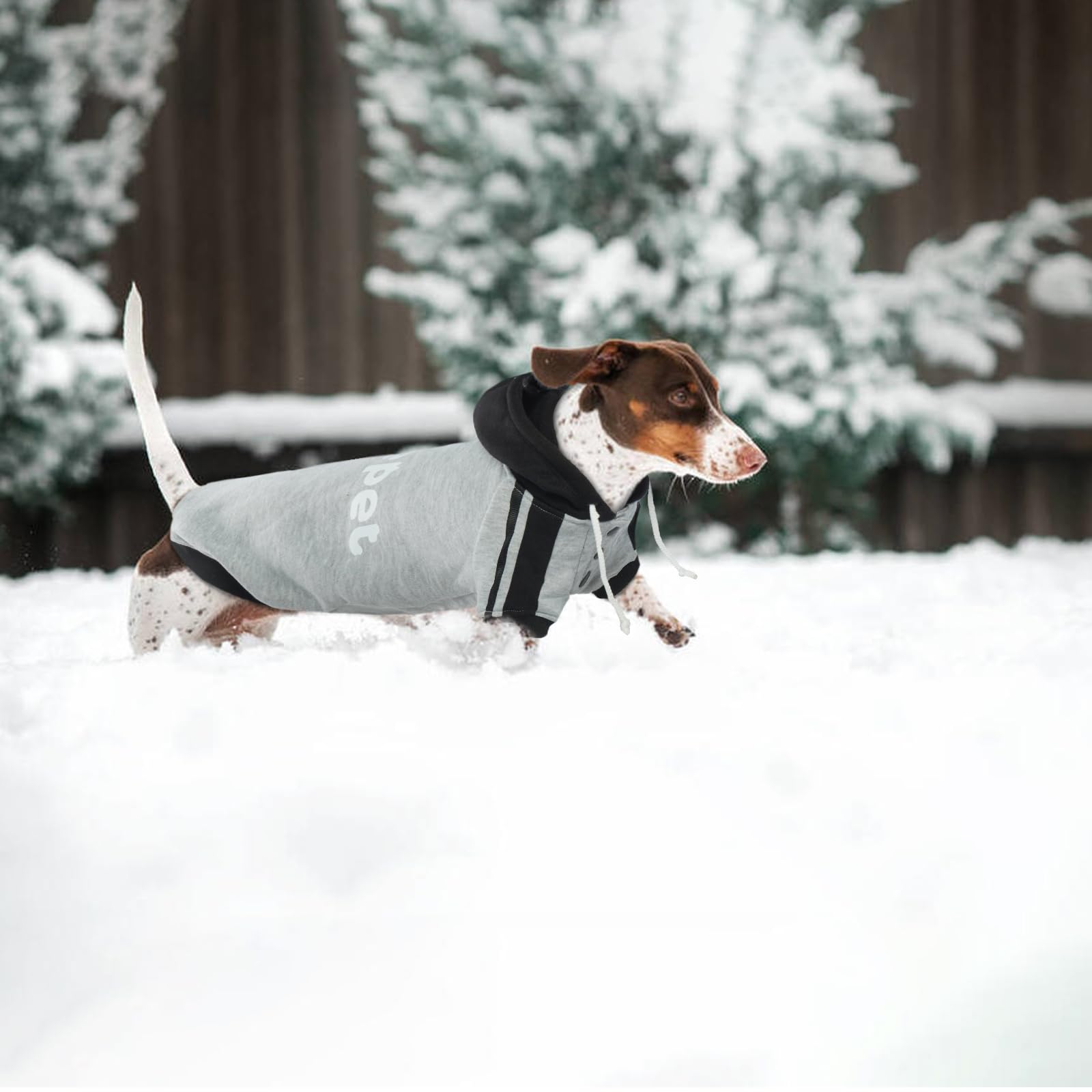 Lelepet Kapuzenpulli für Dackel, Hundepullover mit Lelepet Print, Dachshund Hundesweatshirt, Pullover Hoodie für Kleine Mittelgroße Große Haustier, Weich Hund Kapuzen Kleidung, Grau L