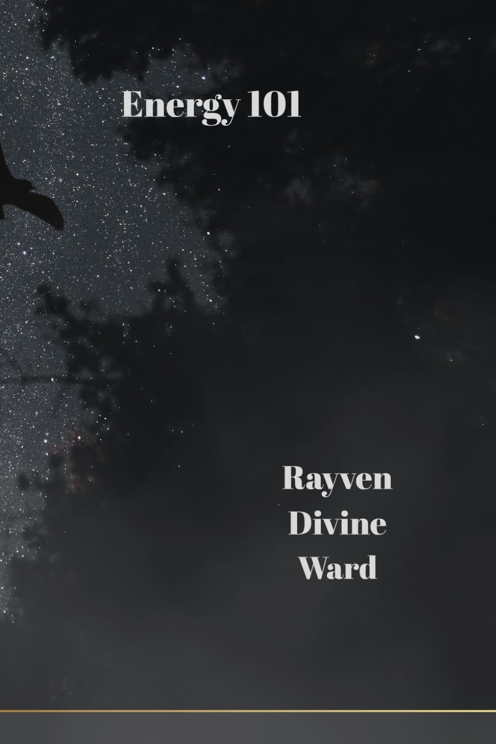 Energy 101: 14 (Magick 101 Series)