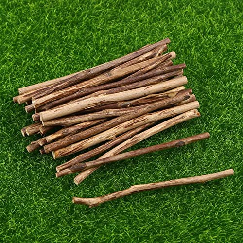 100 stks 1 0 cm Lang 0,3-0. 5 cm In diameter houten log-sticks for Diy Ambachten foto-rekwisieten Diy Handgemaakte… - Image 4