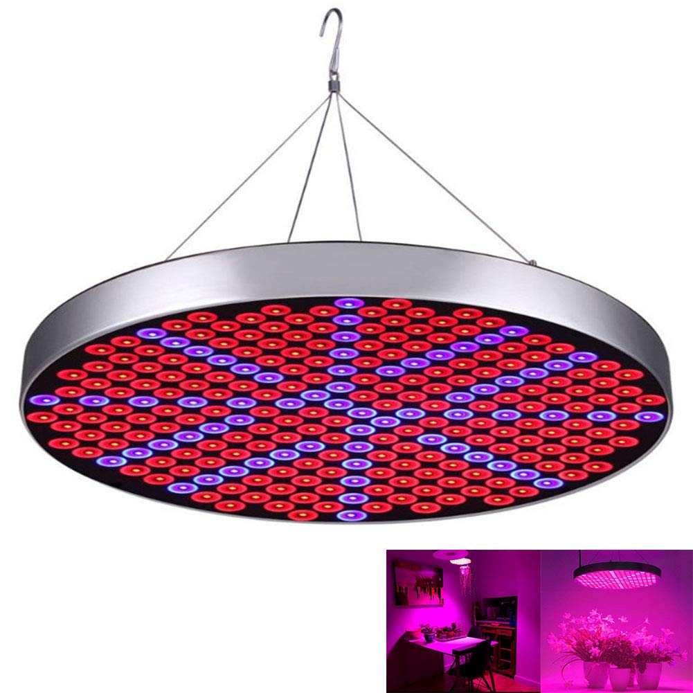 Luces de Cultivo de Plantas LED, 50W 250 LED Plantas de Interior Bombillas de lámpara de Cultivo con Planta de hidroponía de Espectro Azul Rojo, Redonda