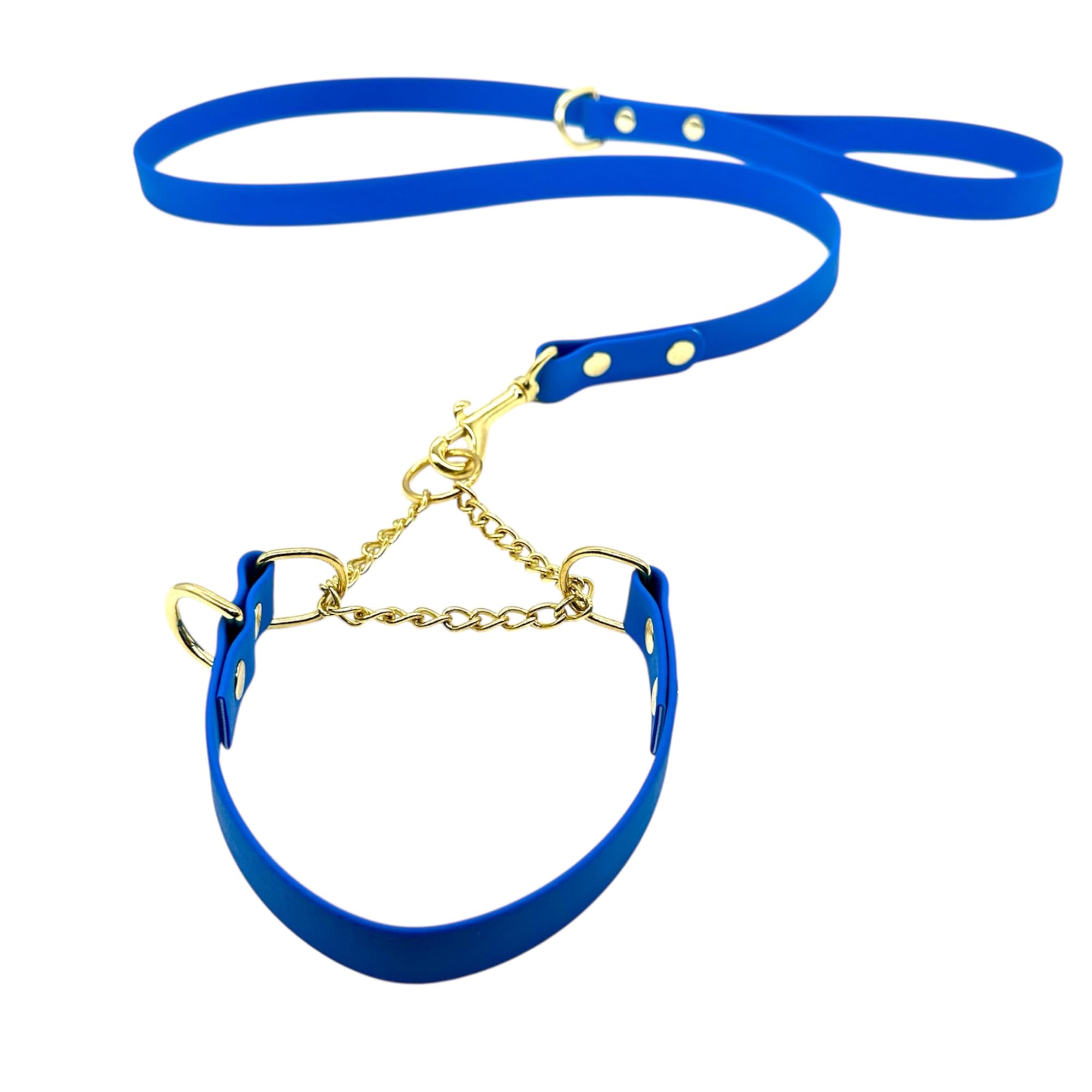 L&J Pets UK Martingale Dog Collar & Lead Set | Waterproof & Odour Proof | BioThane Webbing | Solid Brass Chain | Made in UK (Blue, L)