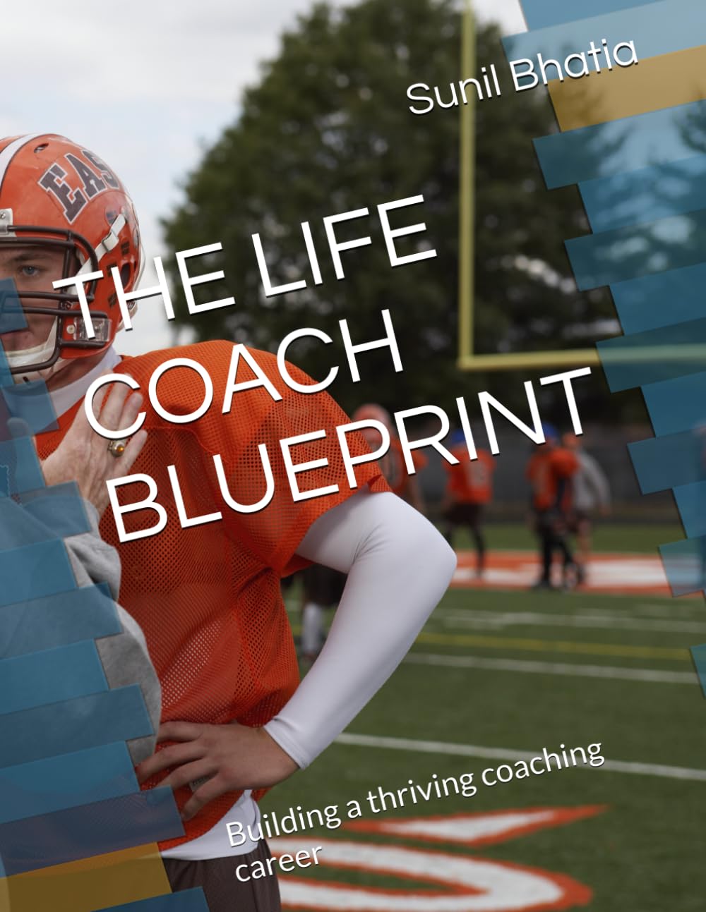THE LIFE COACH BLUEPRINT: Building a thriving coaching career
