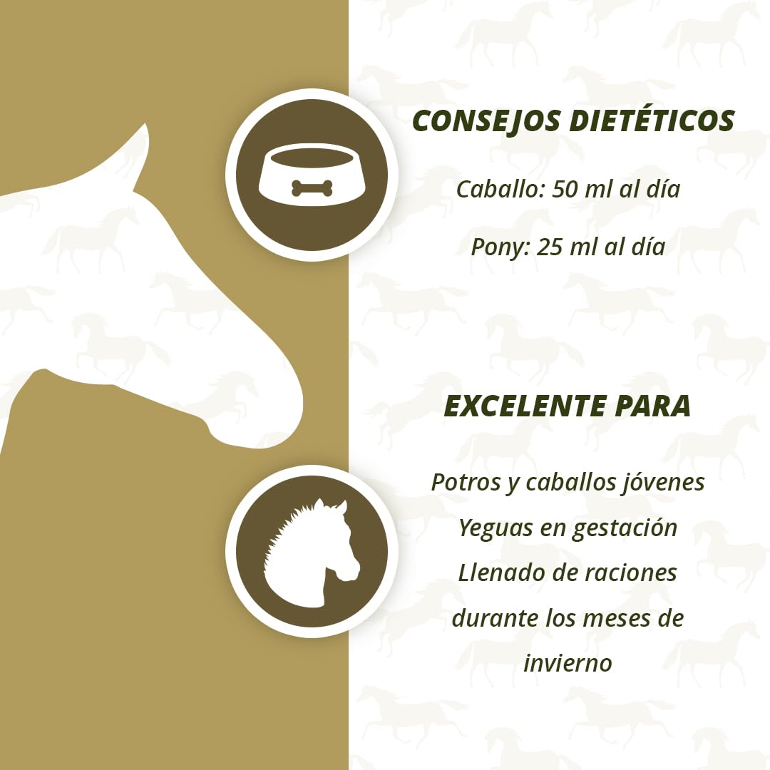 EXCELLENT Suministros Para El Cuidado De La Salud Aceite De Hígado