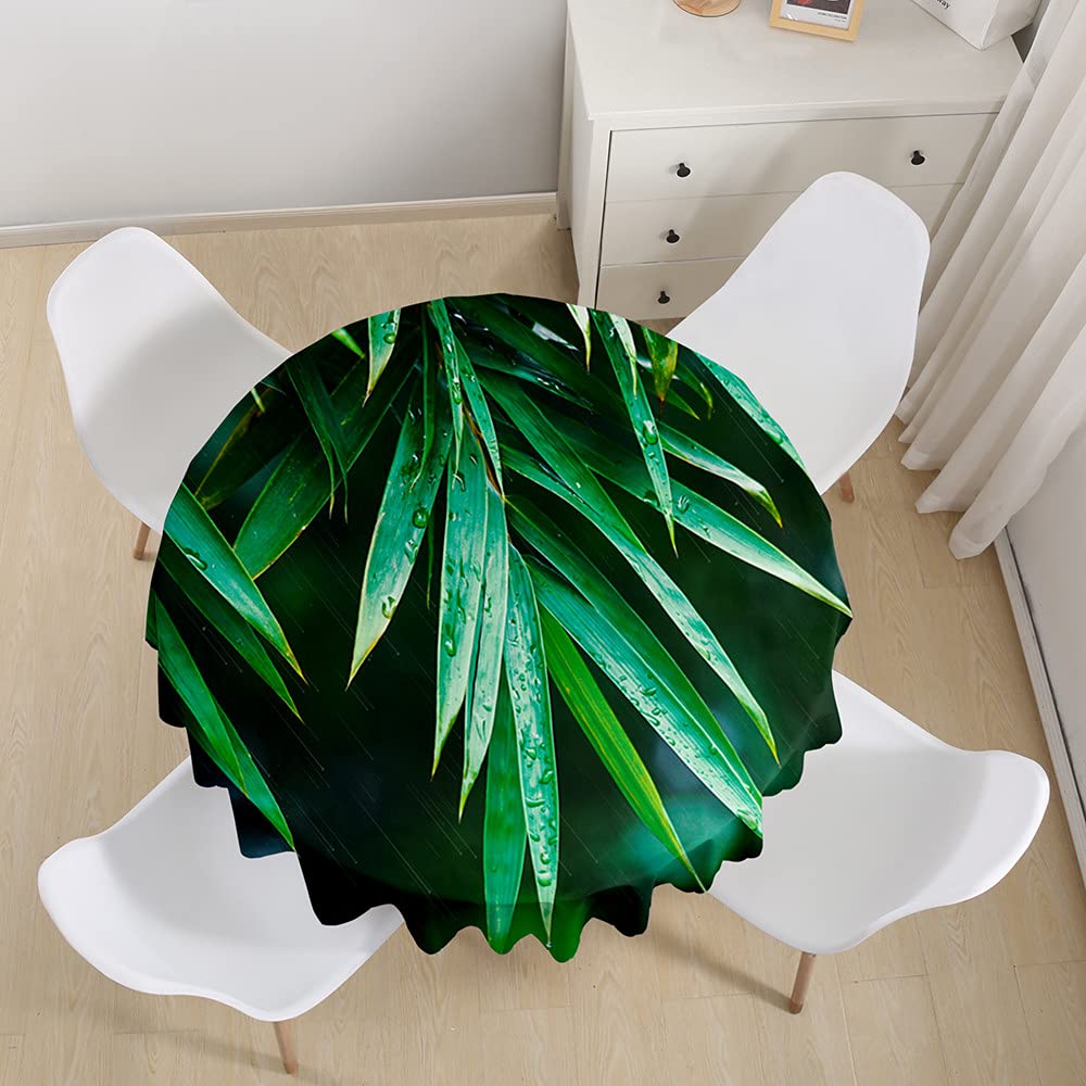 Highdi Tischdecke Rund Lotuseffekt, 3D Bambus Druck Wasserdicht Antifouling  Pflegeleicht Abwaschbar Polyester Tischdecke, fr Home Kche Dekoration  (Regenwald,Durchmesser 130cm) : Amazon.de: Kche, Haushalt & Wohnen