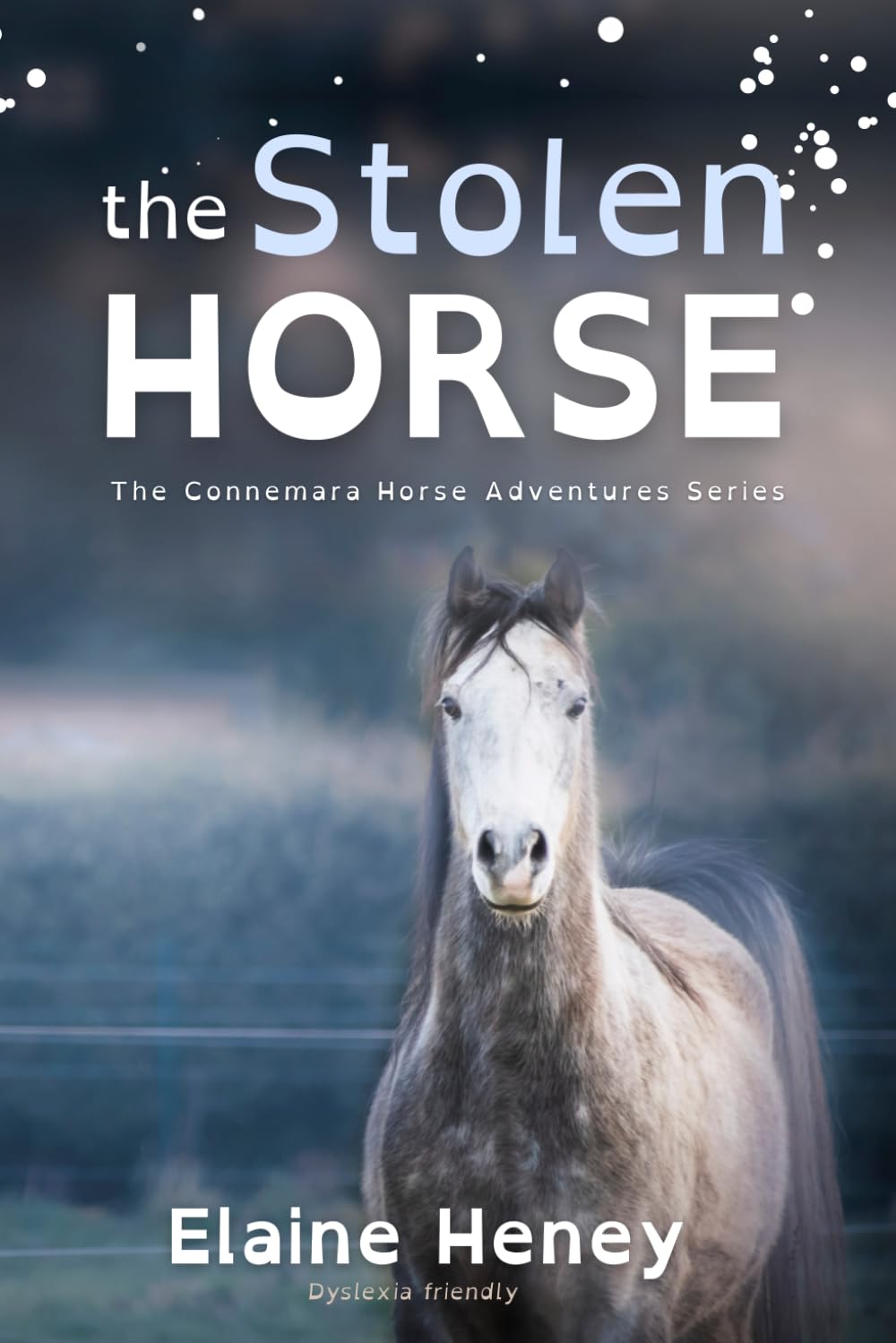 The Stolen Horse - Dyslexia Friendly: 4 (Connemara Pony Adventures Dyslexia Friendly)