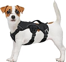 rabbitgoo Ausbruchsicheres Hundegeschirr Kleine Hunde mit Griff, Anti Zug Sicherheitsgeschirr Hund Atmungsaktiv, Verstellbare Brustgeschirr, Gepolstertem Hundeweste, Panikgeschirr, Schwarz S