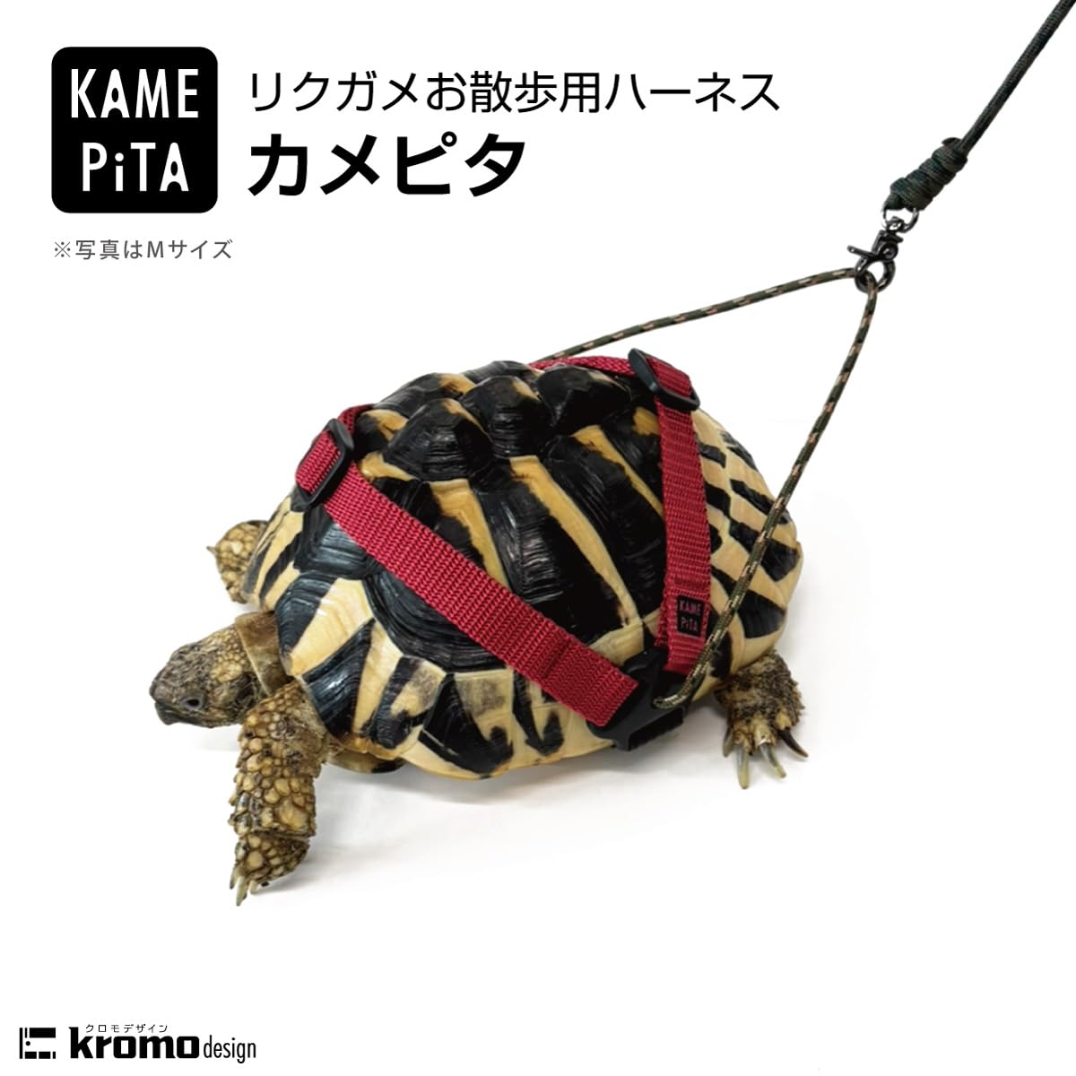 Amazon | kromo-design カメピタ リクガメ用ハーネス リード付き