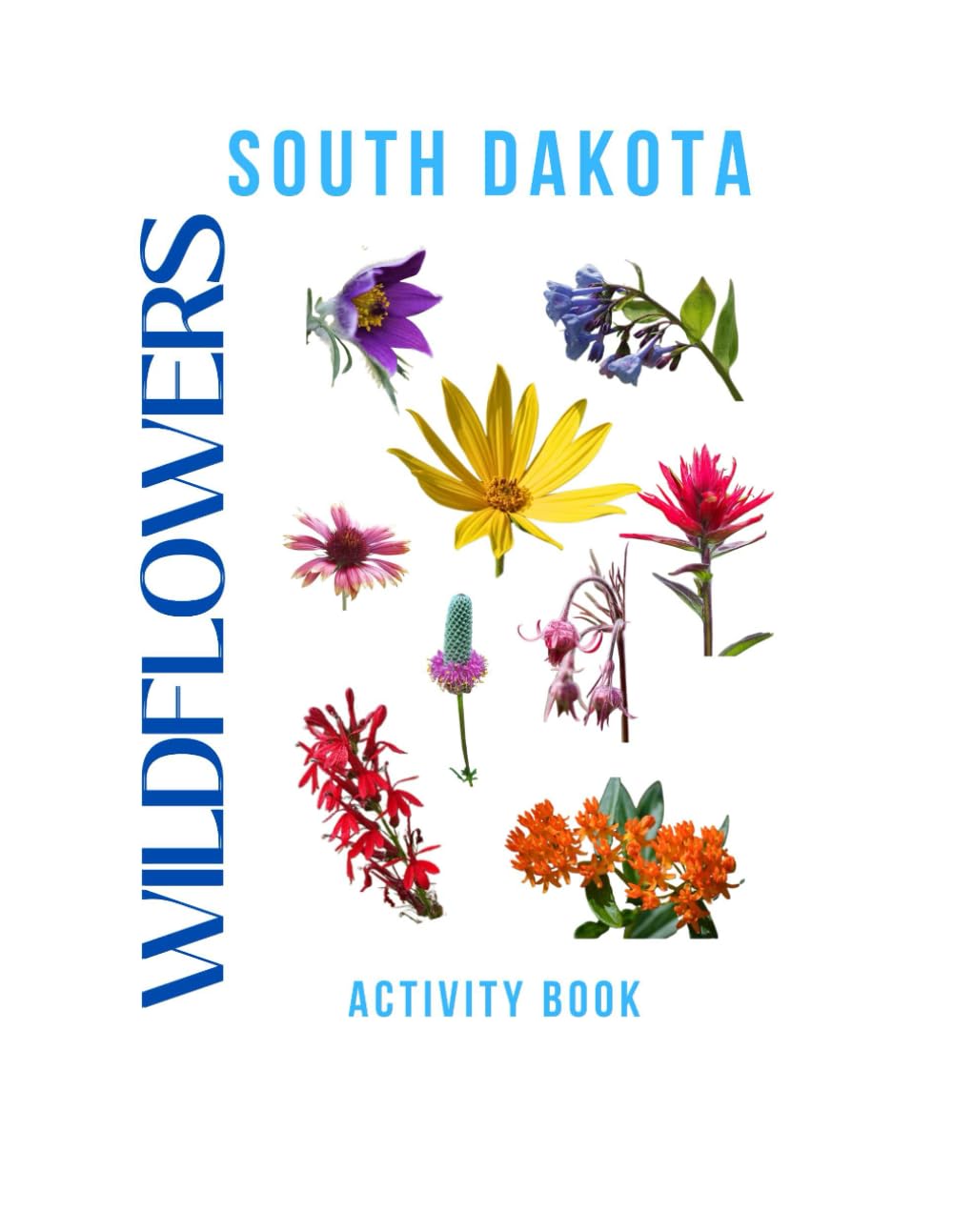 Wildflowers of South Dakota Activity Book: A Young Explorer’s Field Guide to the Native Blooms of South Dakota (South Dakota Nature Explorer Series)