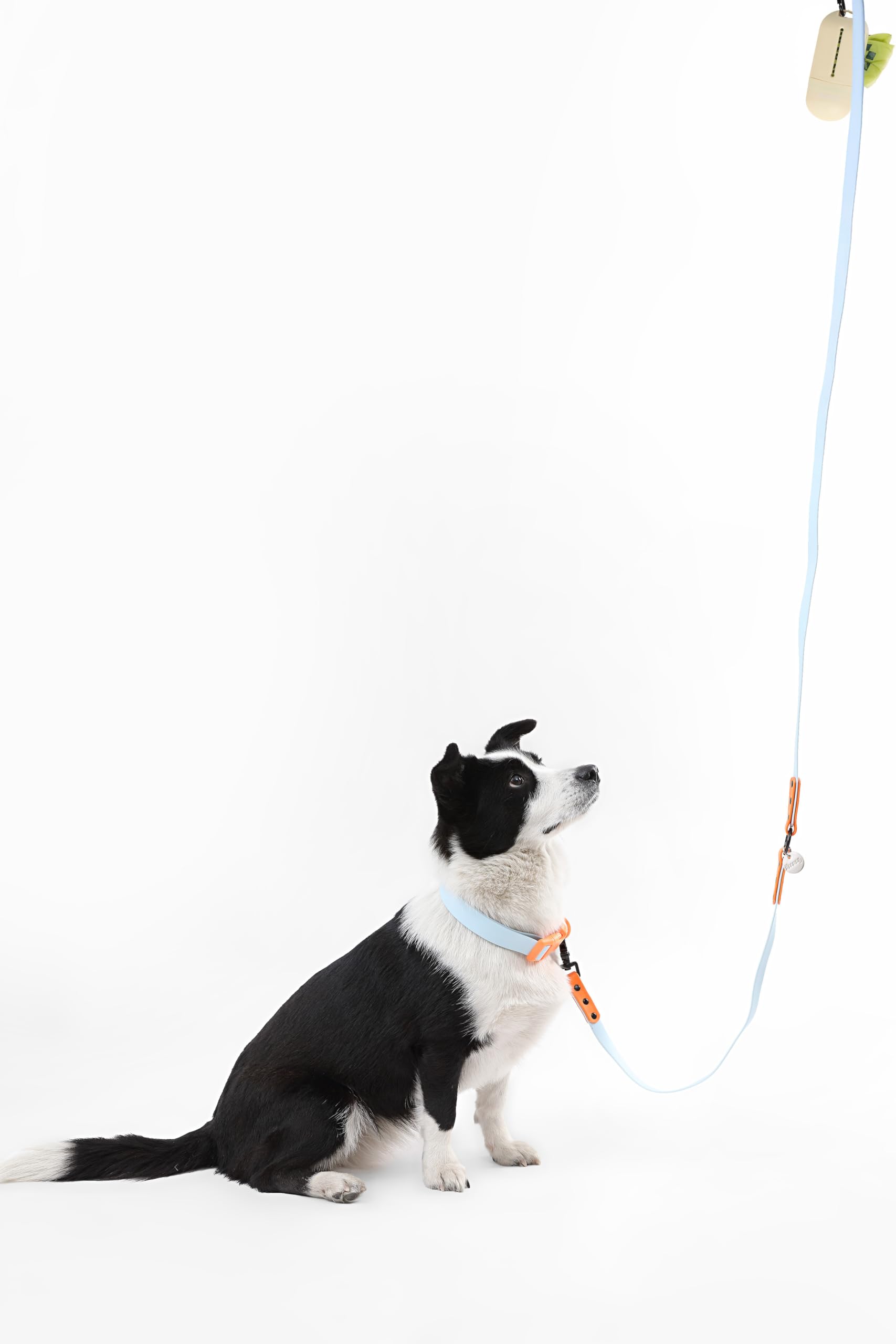 Luna WLK1006D-5SET Laisse et collier mains libres réglables 6 en 1 avec lampe de poche LED, distributeur de sacs et support pour sac à déjections canines, bol à poissons Taille L 2,4