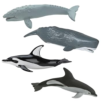 Amazon.co.jp: 694704 ホエール&ドルフィン チューブ : おもちゃ