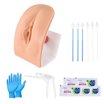 Pelvic Health Educational Model, Gynecological Examination Simulator for OB/GYN Workshops
