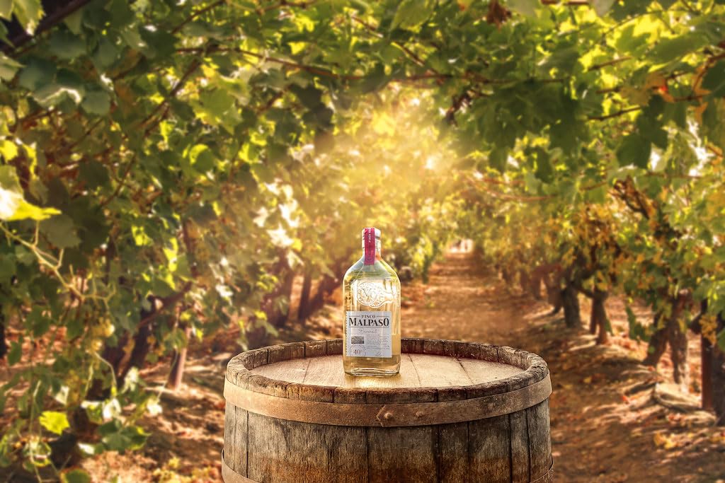 Pisco MalPaso Reservado (1 x 0,7 l)