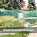Philonext 13 Feet x 33 Feet Anti-Bird Netting Garden Plant Netting Bird Netting Heavy Duty Nylon Suit for Seedling Vegetables Flowers Fruit Bushes Reusable Fencing Garden Farm mesh