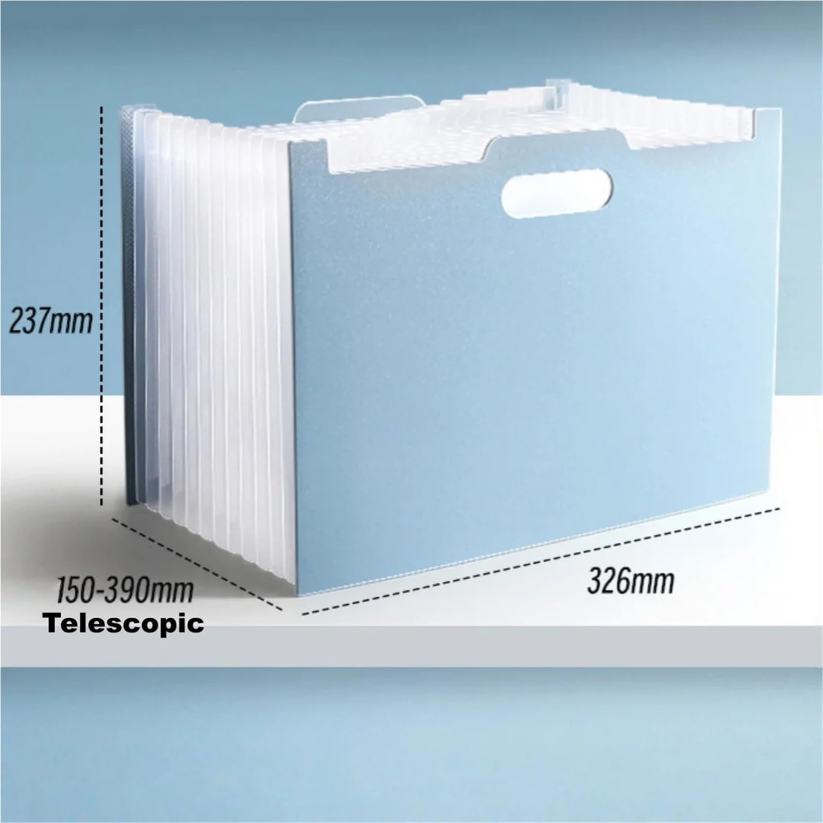 Organizer for file a fisarmonica affidabile da 2 pezzi for mantenere i tuoi documenti importanti al sicuro e ben organizzato Organizzatore for a con 13 tasche(Black)