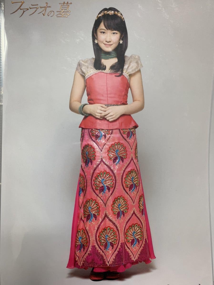 Amazon.co.jp: 野中美希 コレクションピンナップポスター ピンポス 