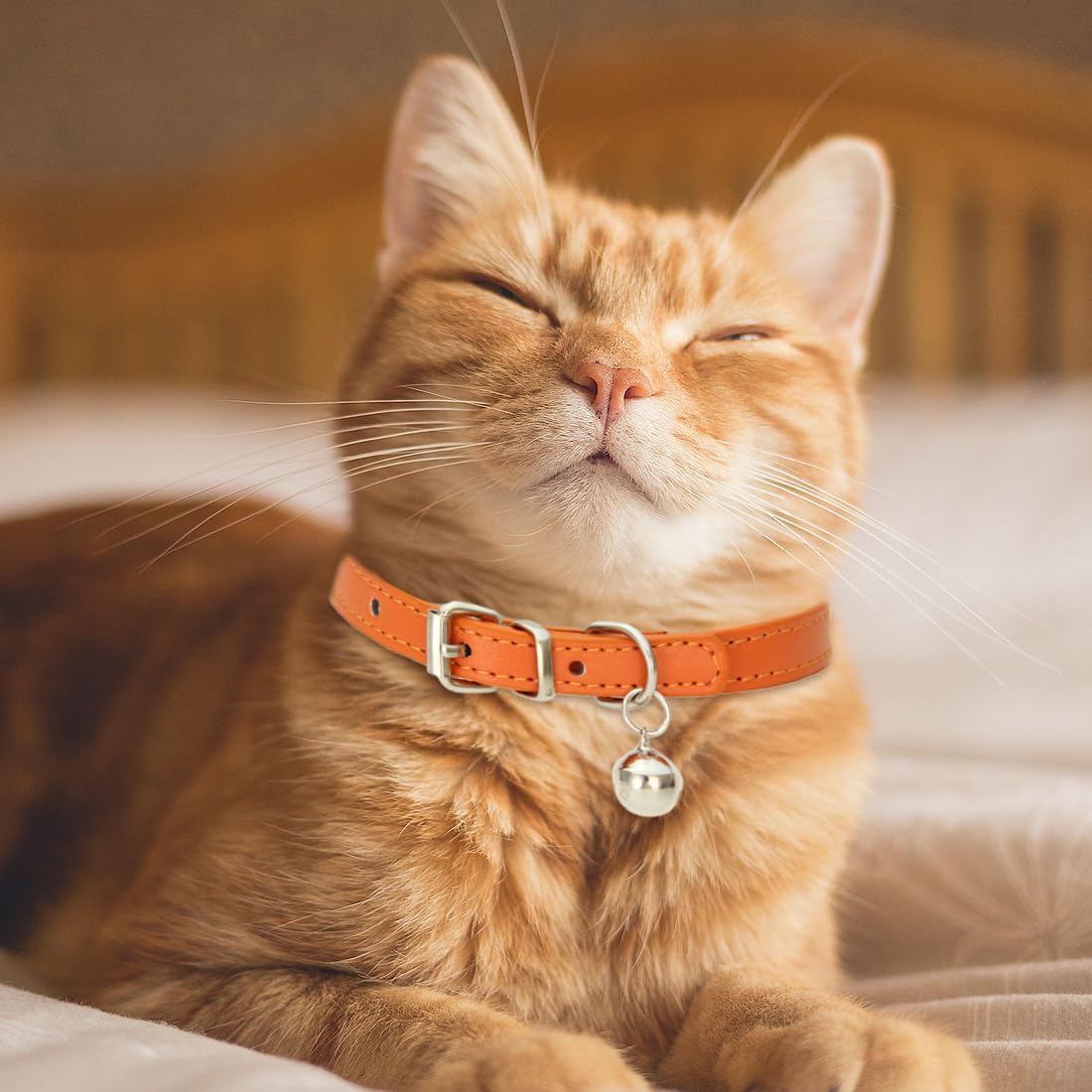 Collare Per Gatti In Pelle Con Campana - Regolabile E Sicuro - Foto 6