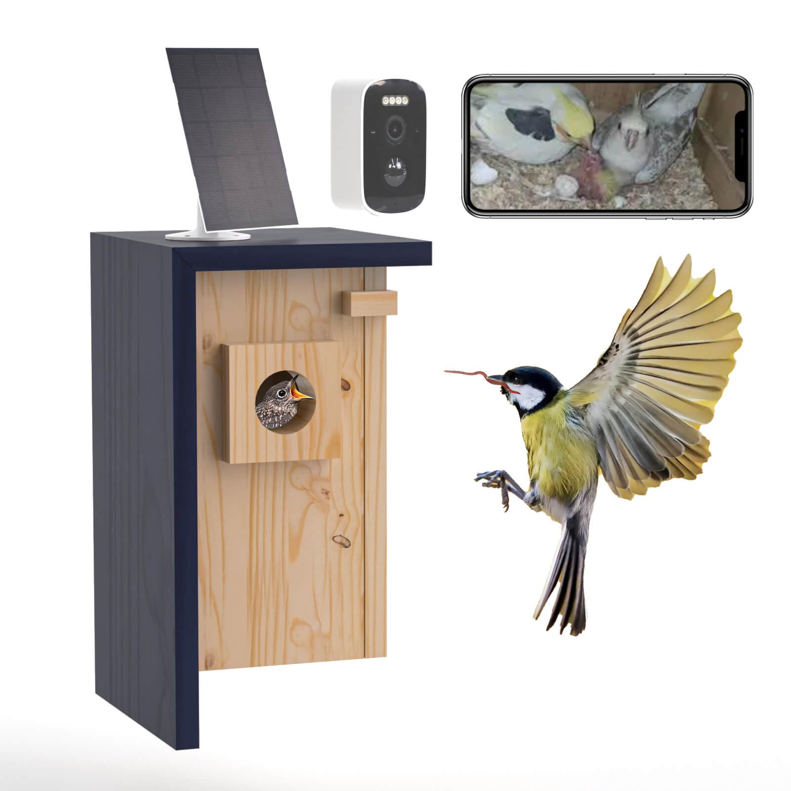 WISDOMRAINBOW Birdhouse Camera