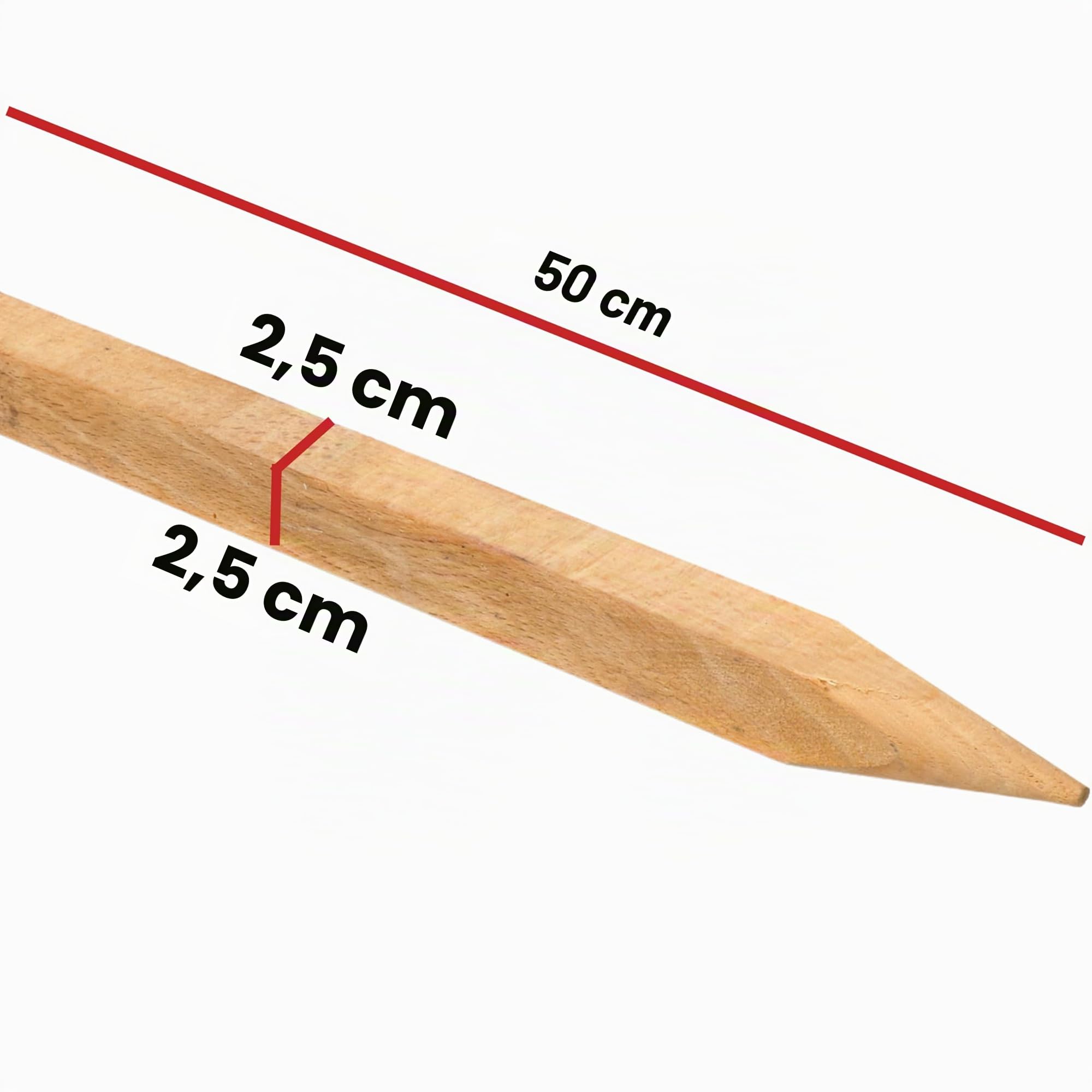 tiges en bois de hêtre, poteaux en bois - Support pour plantes idéal pour les poteaux de clôture, travaux de jardinage et DIY - Tiges de plantation robustes - Piquets en bois de 25 mm de