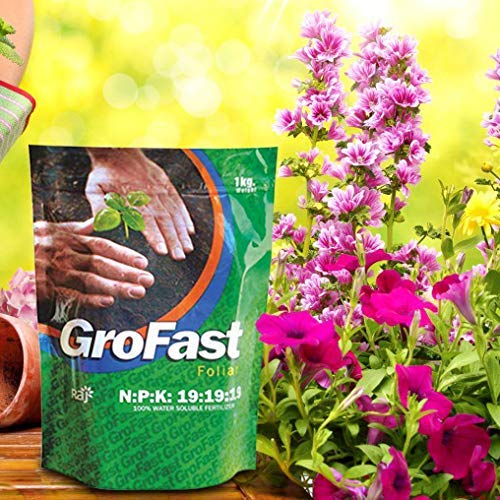 Raj AGRITECH Gro Fast 100% Water Soluble Fertilizer For Plants & Farm (Rajagrigrofast19-1000Gm), Powder