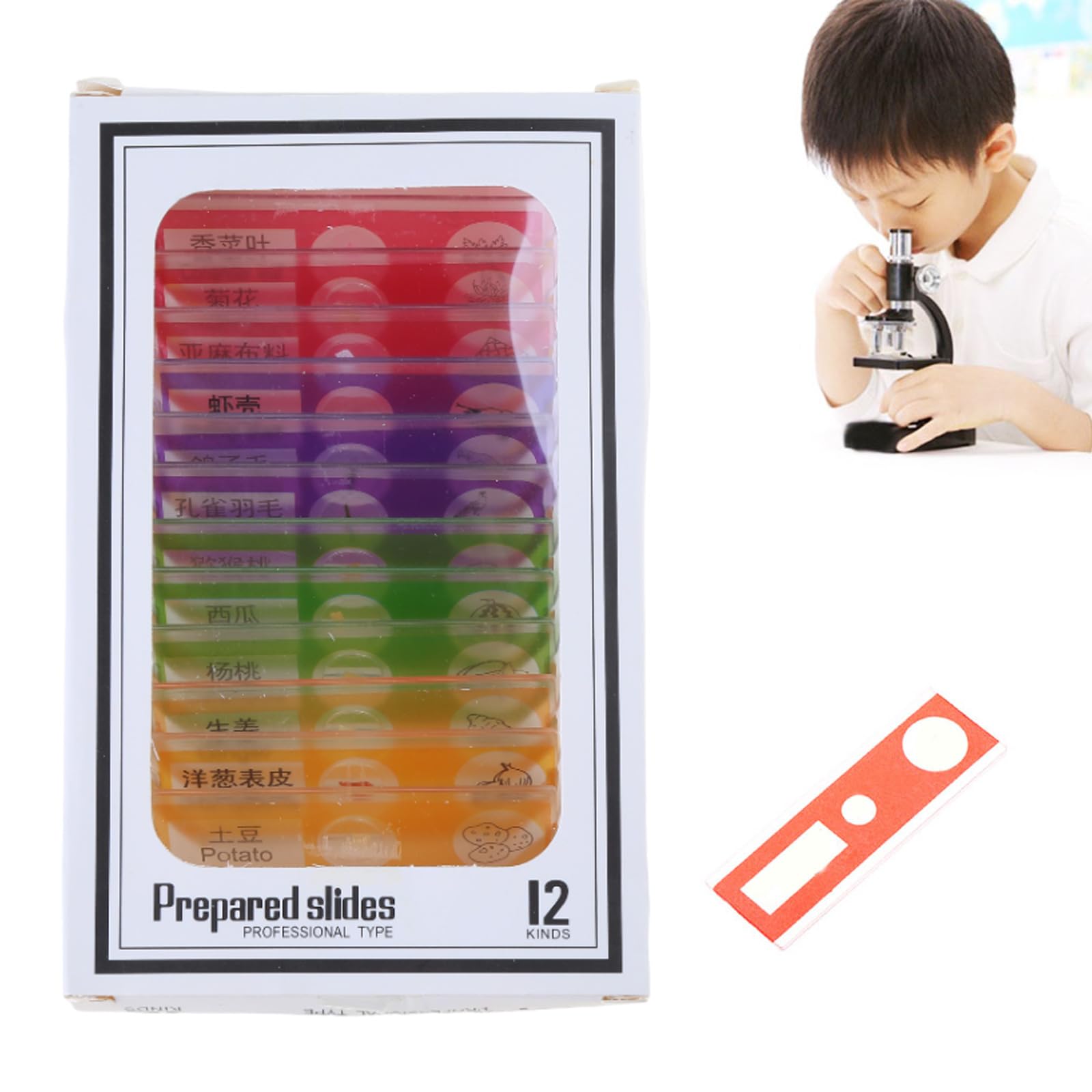 DIIOOMIEEU 12pcs for Stereo Microscopes Kids Prepared Microscope Slides of Animals Flowers Sample Specimens