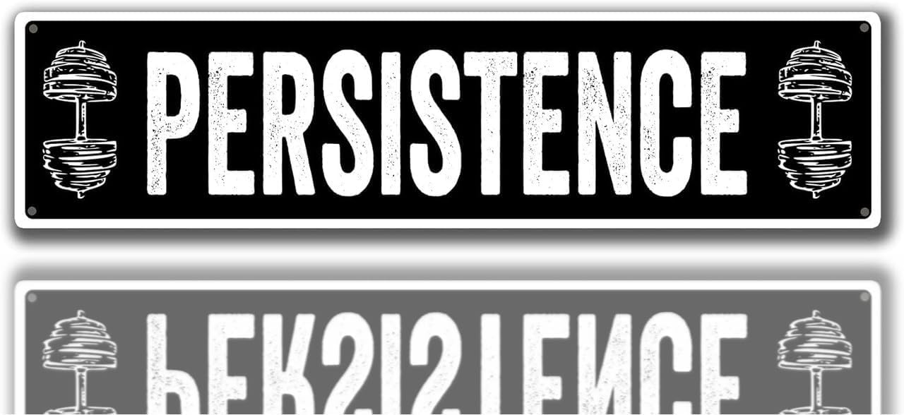 Peiyeety A010 Persistence Vintage Metal Tin Sign, 4X16 Inch Rustic Motivational Wall Decor, Retro Sign For Home, Living Room, Waterproof Tin Sign, Durable Wall Art