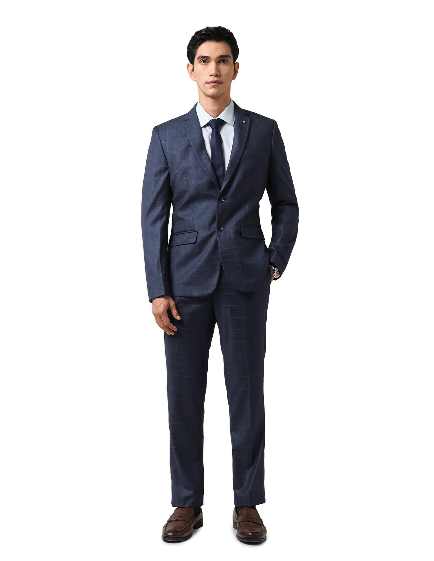 arvind Checked Blue Regular Fit Dobby Weave Suit-picture-29