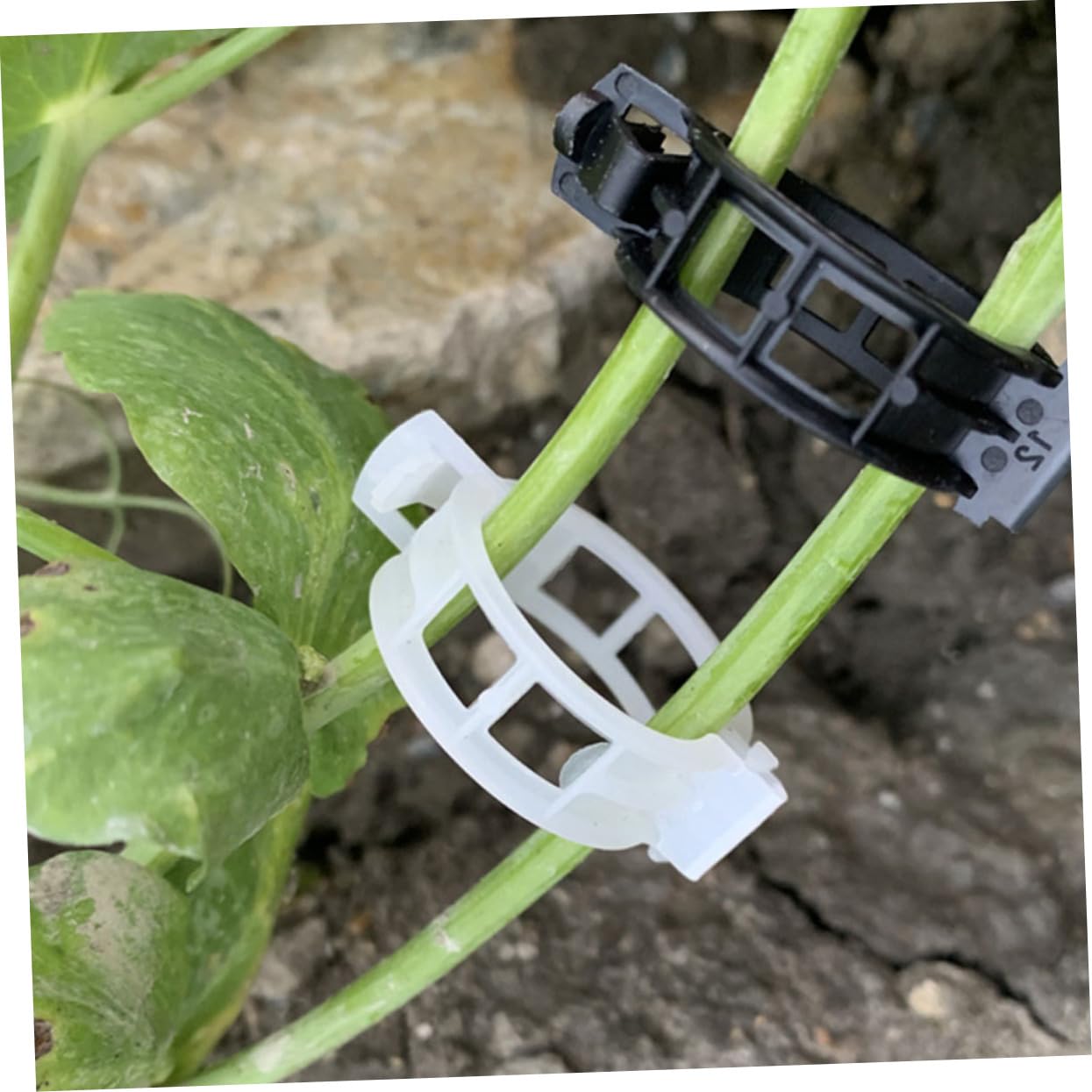 Toyvian 500stücke Pflanzenclips Für Tomaten Flexible Und Wiederverwendbare Klammern Unterstützung Von Und Blumenranken Stabile Materialien Für Gartenprojekte