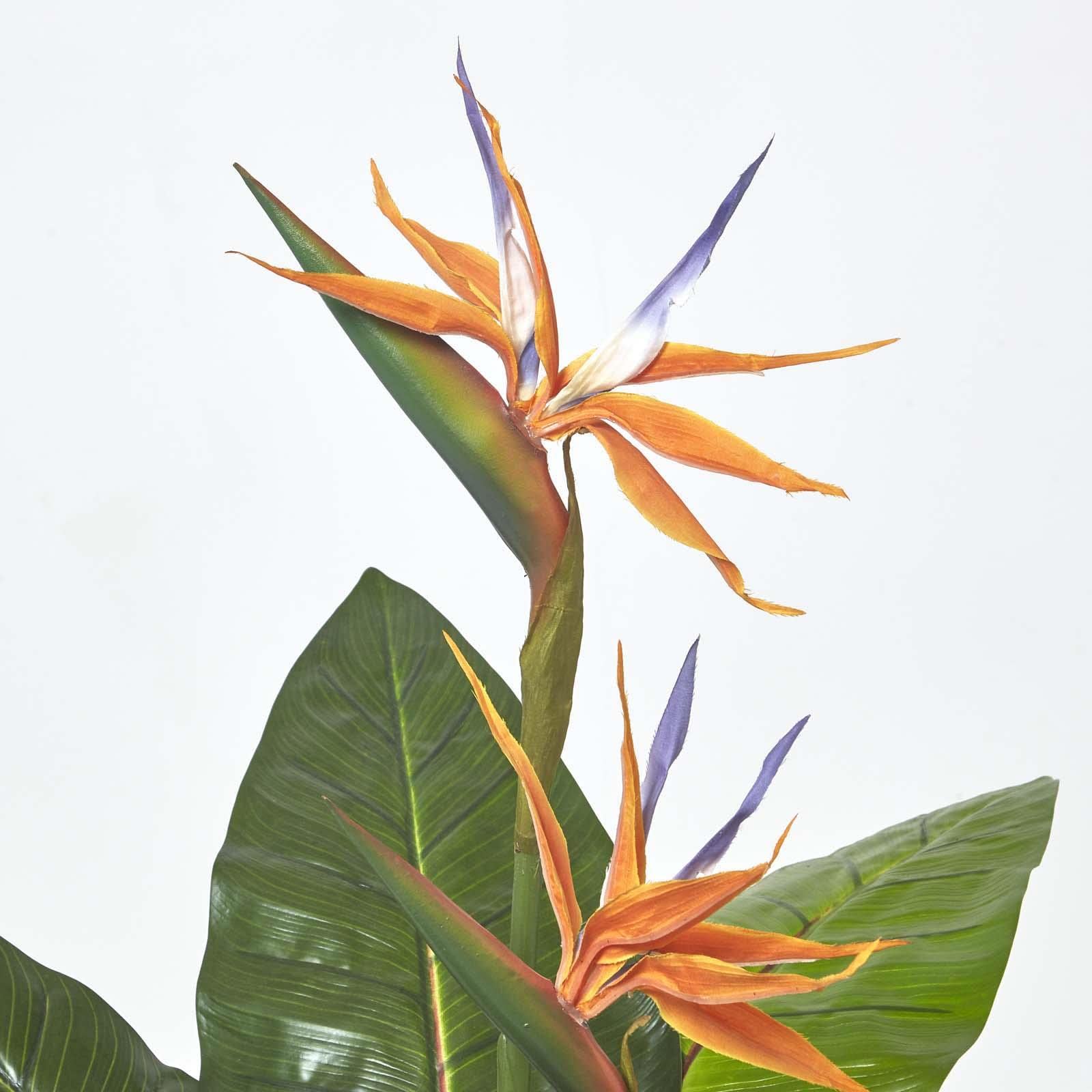 Amazon.de: Homescapes knstliche Strelitzie, Paradiesvogelblume im Topf,  Tropische Kunstpflanze fr den Indoor-Bereich, knstliche Pflanze, ...