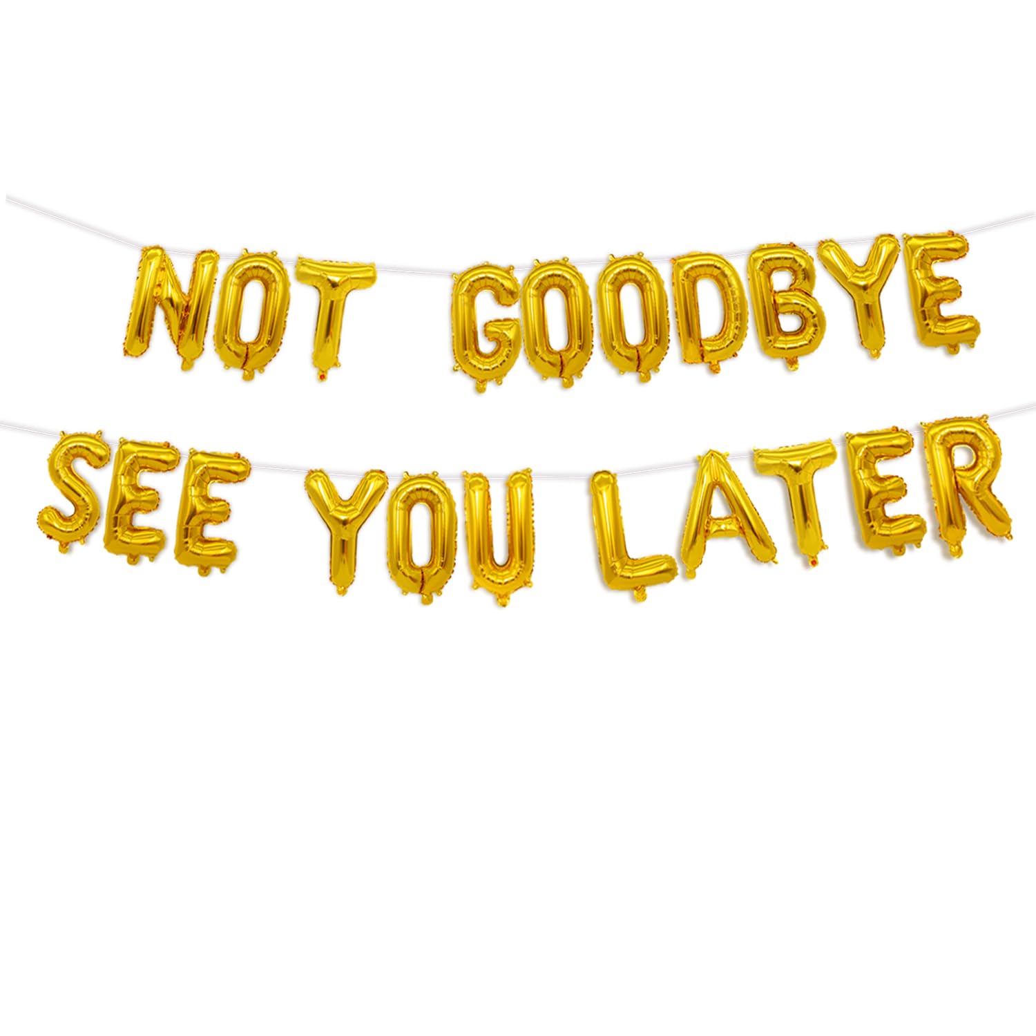 Retirement Graduation Party Banner, Not Goodbye See You Later Balloon for Goodbye Party Photo Booth Backdrop, Farewell Party Decorations