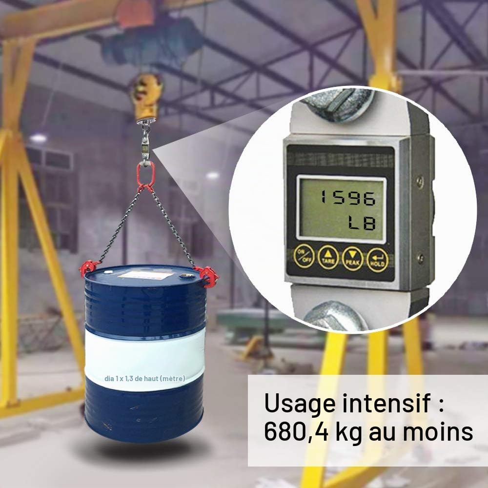 SELEWARE 450KG Capacité SUS304 Acier Inoxydable Crochet De Plafond, Suspension Trainer Kit de Suspension pour Chaise accrochante, Lampe accrochante, hamac, Sac de Boxe, entraîneur de Bride, Yoga