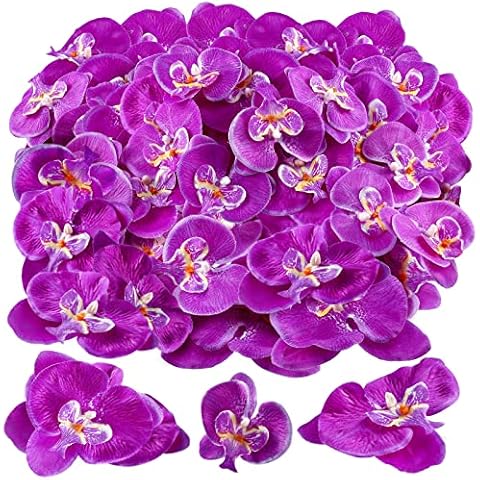 Janinka 80 Pcs Artificial Orchid Phalaenopsis Silk Flowers False Orchid Fake Orchids Flowers Butterfly Orchid Heads Flowers for Crafts Orchid Wedding Decor Bouquet Bridal (Dark Purple) Cover