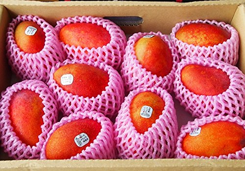 Amazon.co.jp: 最高級 台湾アップルマンゴー 5kg（約8－14玉）2026