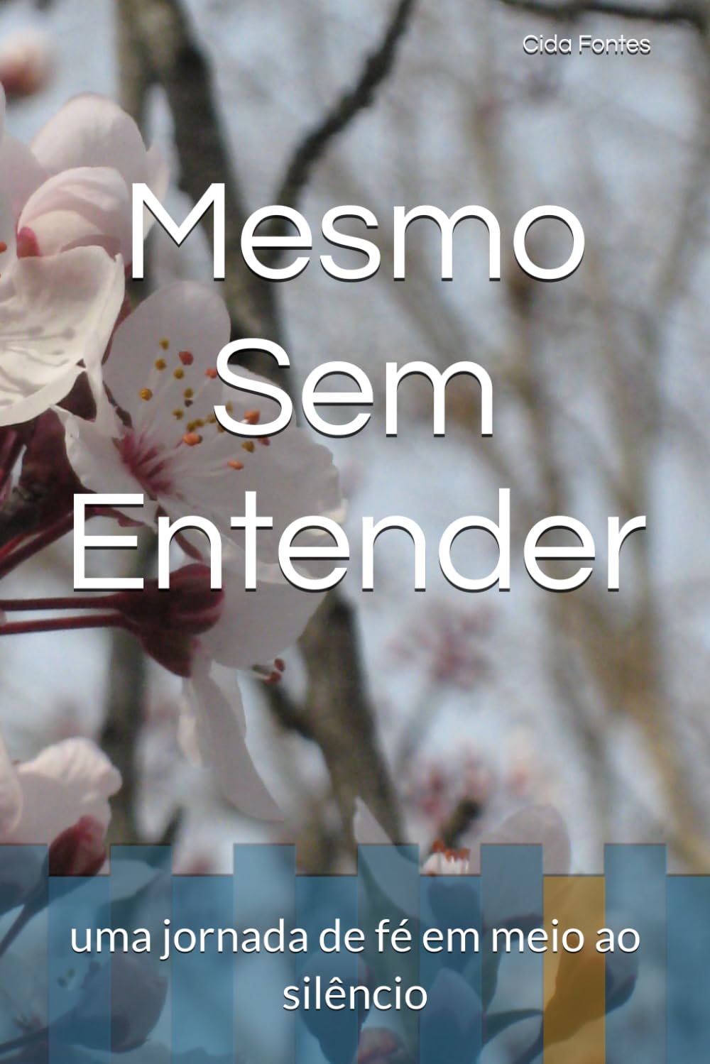 Mesmo Sem Entender: uma jornada de fé em meio ao silêncio