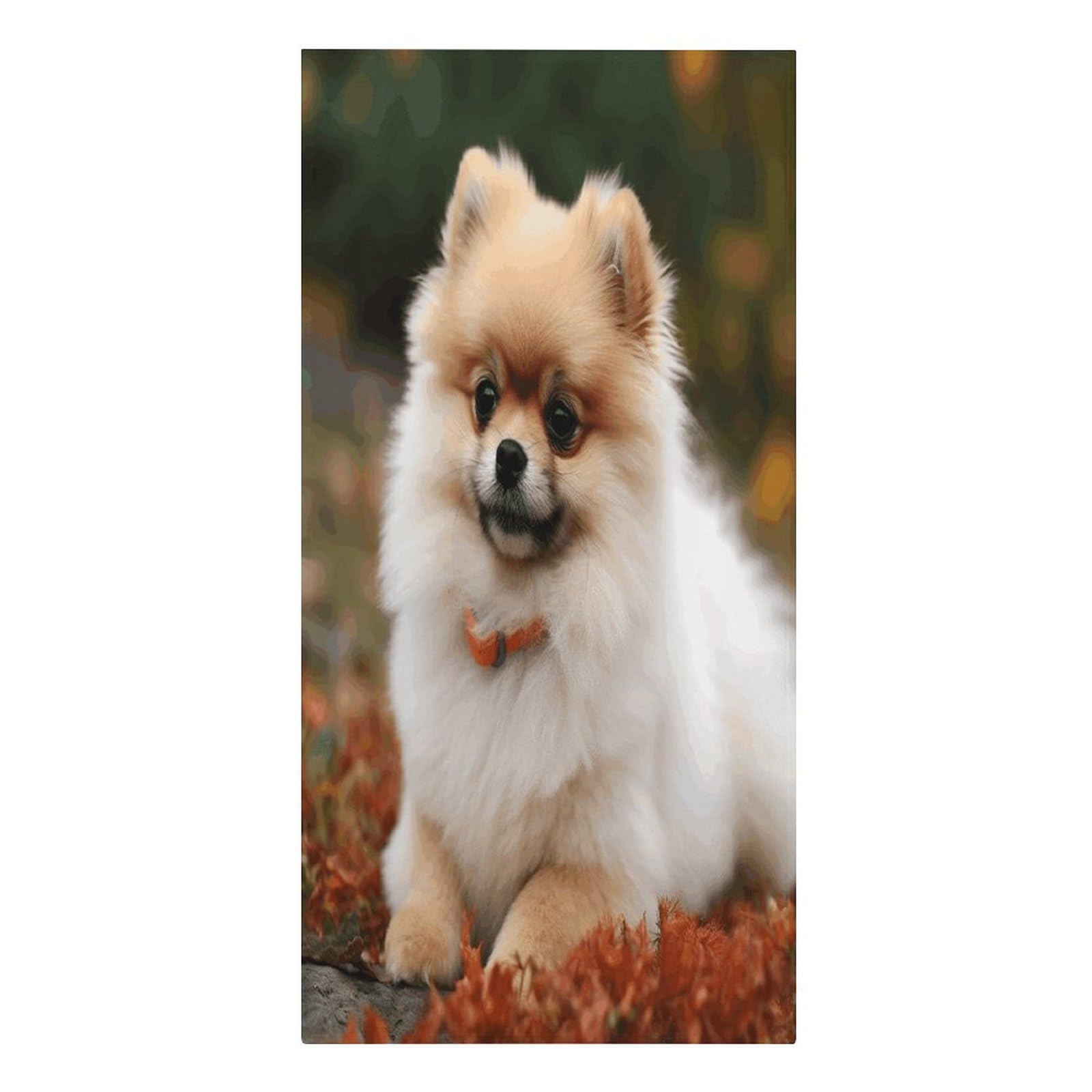 VstaDank Short Haired Pomeranian Dog Beach Towels 30"x61" Microfiber Super Absorbent Large Bath Towels Cozy Soft Swim Travel Towel Quick Dry Thin Pool Towel Beach Accessories for Outdoor Adult