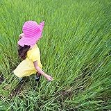 THT-Green Grass Sound