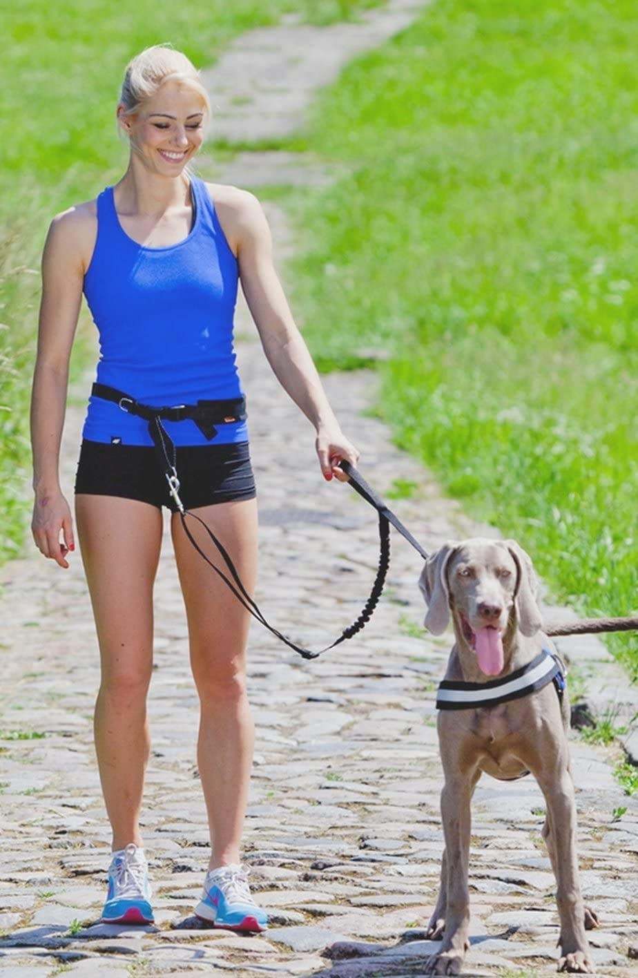 Dingo Jogginggurt 4 in 1 +Hundeleine mit einem Stoßdämpfer Set L/XL Gürtel : 3,0 x 70-130 cm Hundeleine: 2,5 x 120-150 cm Schwarz Frei Hände zum Joggen, Laufen 12779