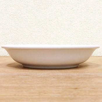 Amazon | 小皿 シーワールド 給食 食器 強化磁器 陶器 日本製