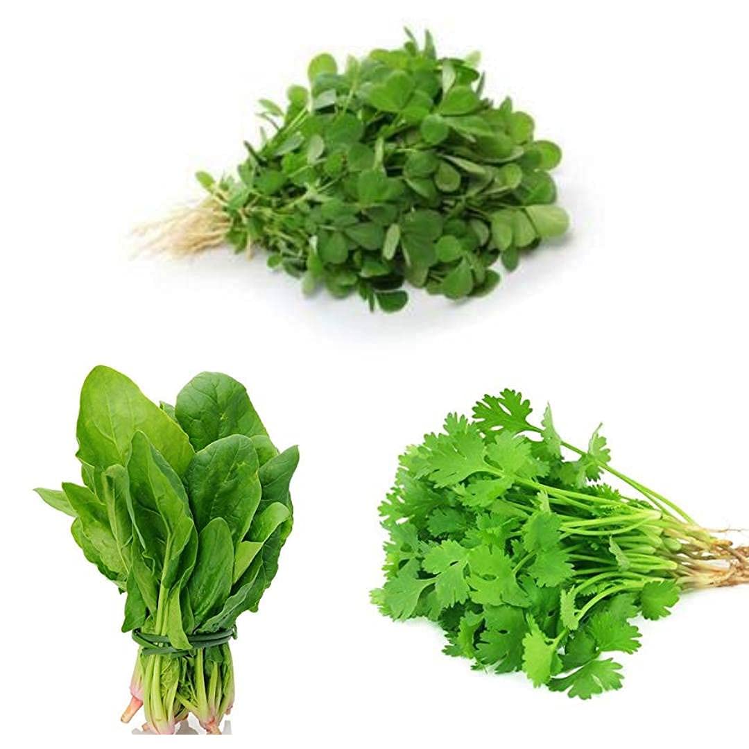 Kenware Combo Pack of All Season High Germination Seeds of Desi Coriander | Fenugreek | Spinach | Leafy Vegetable Seeds for Home & Kitchen (B09HMNGDQ5) Amazon Price History, Amazon Price Tracker