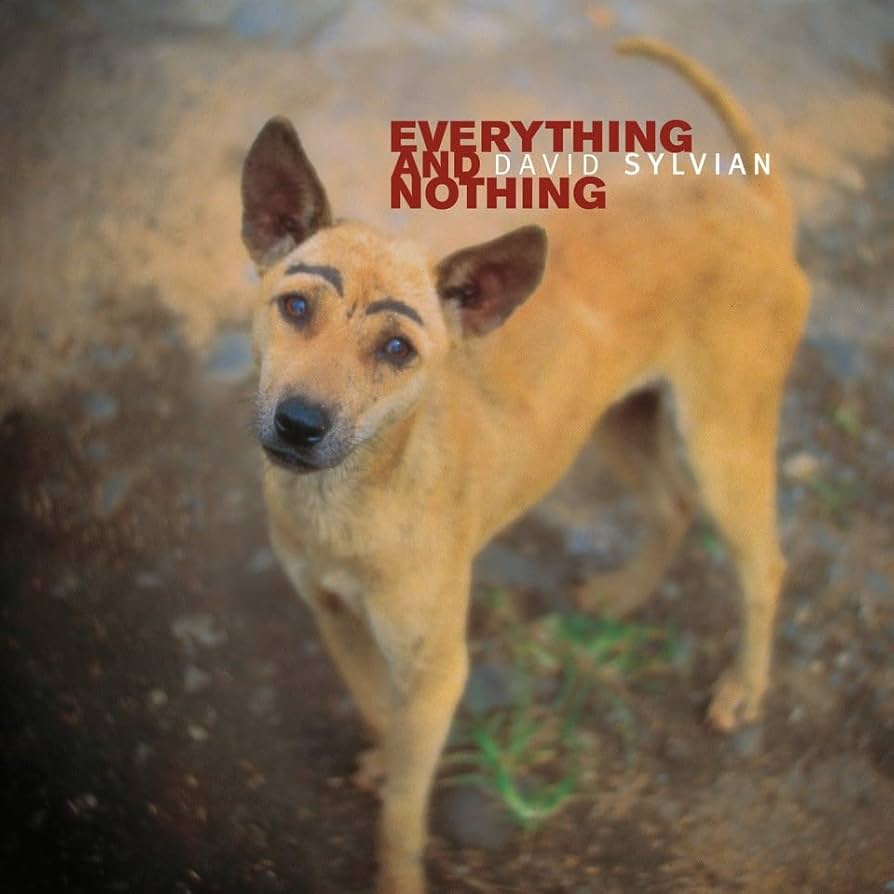 Amazon.co.jp: Everything & Nothing - David Sylvian [12 inch