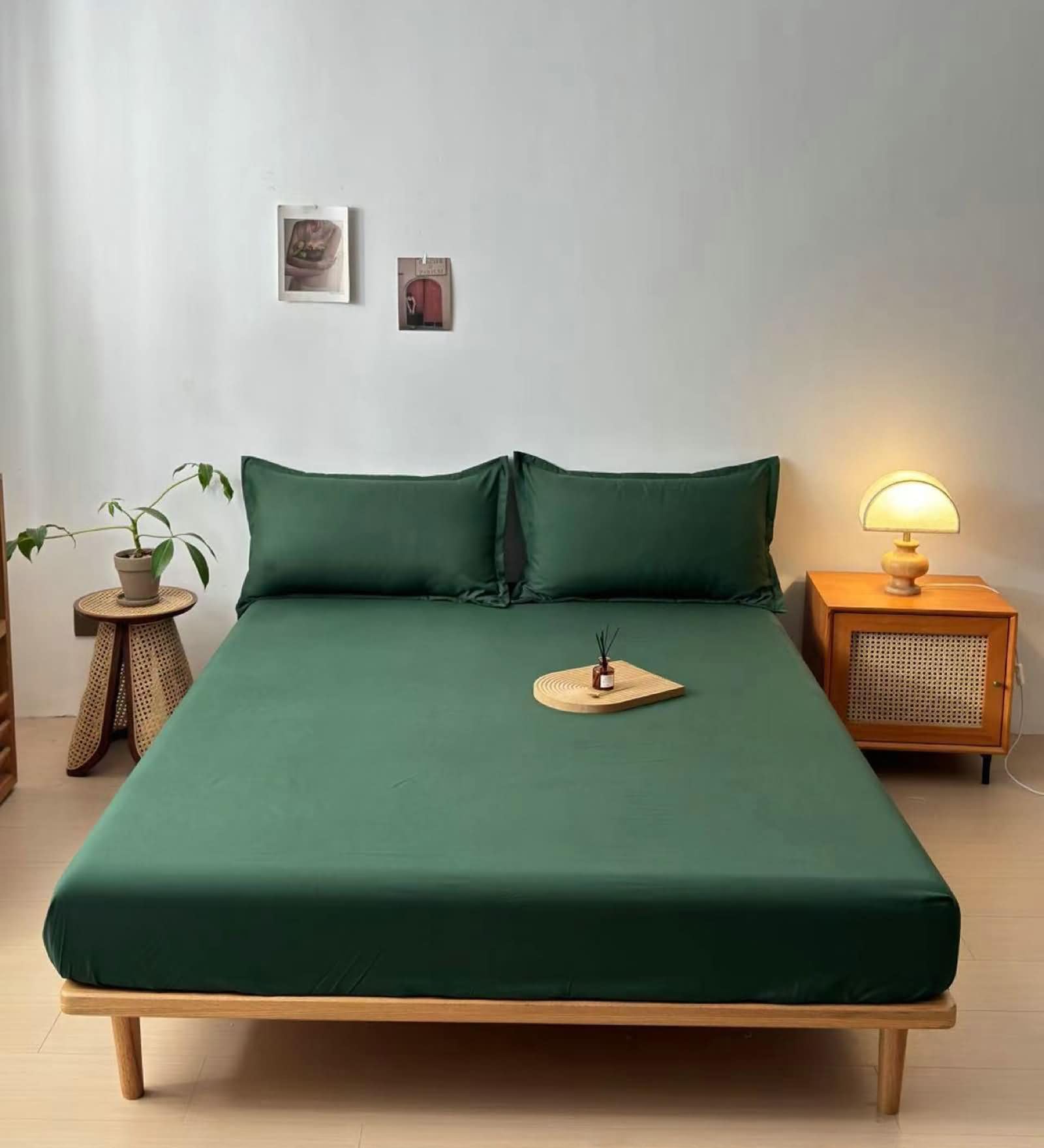 3 Pezzi Lenzuola Letto Matrimoniale Cotone Angoli, Tinta Unita, 160 x 200 CM + 2 Federe, Verde