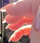 Review Image by Dragonkitty Dragonkitty