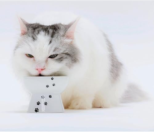 Miniatura 9 de Necoichi Cuenco elevado de comida para gatos, cuenco elevado de cerámica para fatiga de bigotes y cuello, apto para lavavajillas y microondas,