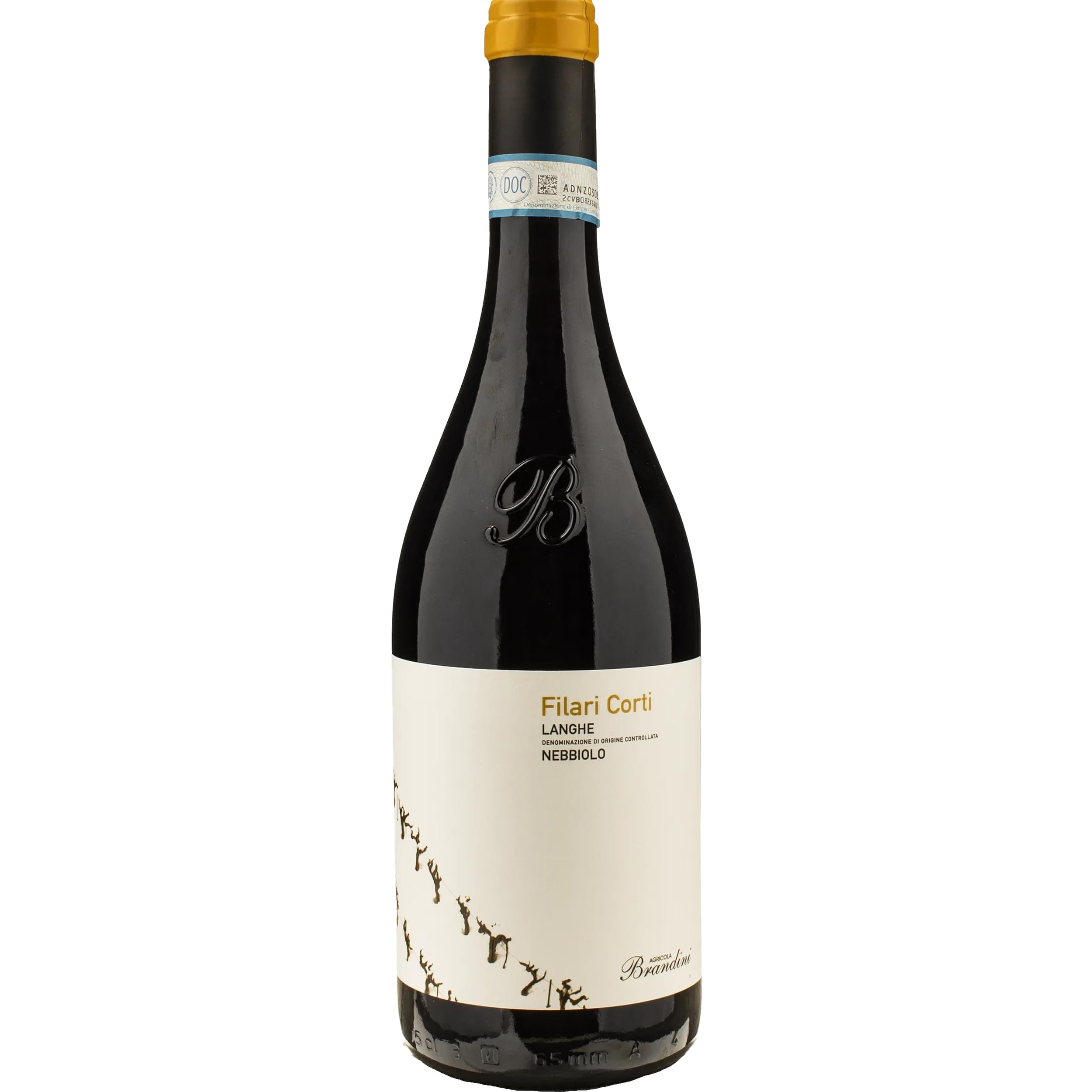 Agricola Brandini Nebbiolo Langhe DOC FILARI CORTI Rotwein Rot trocken BIO Italien inkl. FeinWert E-Book (3 x 0.75 l)
