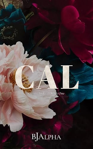 CAL Discreet Cover: Secrets and Lies Discreet Book 1 (SECRETS AND LIES DISCREET COVERS)