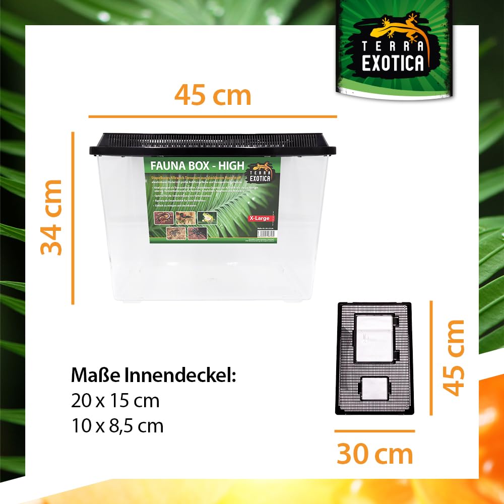 Terra Exotica Fauna Box Flat (Large, Small) oder Fauna Box High (Large, X-Large) - Transportbox für Reptilien, Amphibien,Mäuse - Kunststoffterrarium/Zuchtbox für Insekten (High, Extra-Large)
